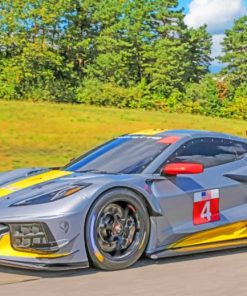 Chevrolet Corvette C8 R paint by numbers