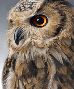 Close Up Owl paint By Numbers