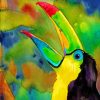 Colorful Bird paint by numbers