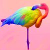 Colorful Flamingo paint by numbers