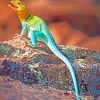 Colorful Lizard paint by numbers