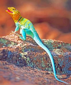 Colorful Lizard paint by numbers