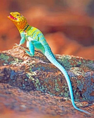 Colorful Lizard paint by numbers