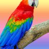 Colorful Parrot paint by numbers