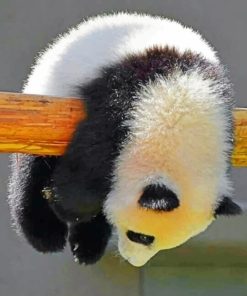 Cute Baby Panda paint By Numbers