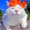 Cute Cat With Orange Flower paint by numbers