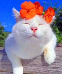 Cute Cat With Orange Flower paint by numbers