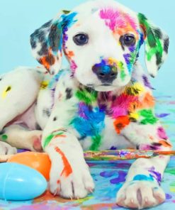 Cute Puppy Dalmatian paint by numbers