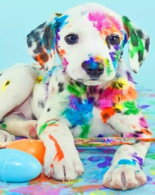 Cute Puppy Dalmatian paint by numbers