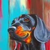 Dachshund Dog paint by numbers