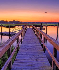 Danuel Island South Carolina paint by numbers