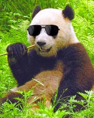 Panda With Sunglasses paint By Numbers