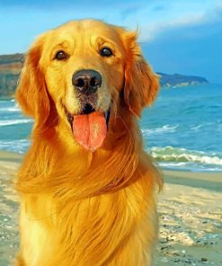 Golden Retriever In Beach paint By numbers