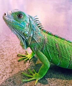 Green Lizard paint by numbers