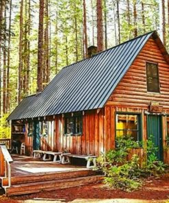 Cottage In Forest paint by numbers