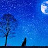 Howling Wolf Silhouette paint by numbers