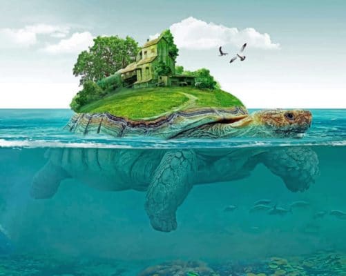 Island Turtle Paint by numbers