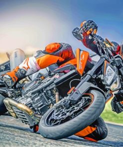 Ktm Duke 390 Rider paint by numbers