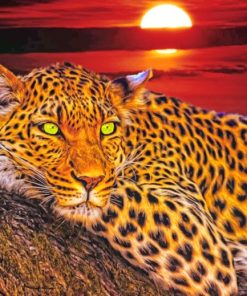 Leopard paint by numbers