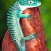 Mexican Alligator Lizard paint by numbers