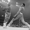 Muhammad Ali Fighting paint By Numbers