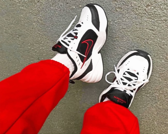 Nike Monarch paint by numbers