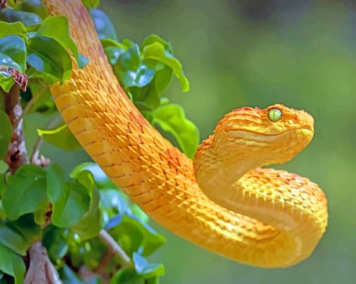 Orange Yellow Snake paint by numbers