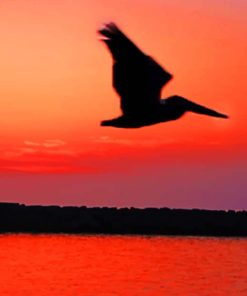 Pelican Sunset Silhouette paint by numbers