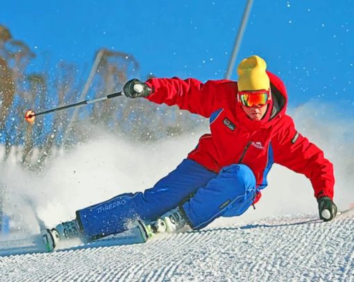 Person Skating On Snow paint by numbers