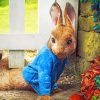 Peter Rabbit paint by numbers