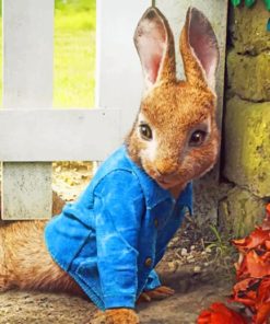 Peter Rabbit paint by numbers