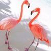 Pink Flamingo paint by numbers