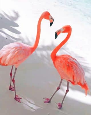Pink Flamingo paint by numbers