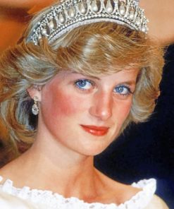 Princess Diana paint by numbers