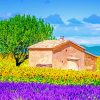 Provence France paint by numbers