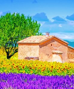 Provence France paint by numbers