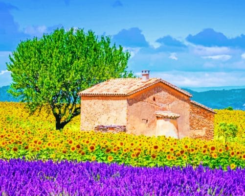 Provence France paint by numbers