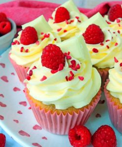 Raspberry White Choc Cupcakes paint By Numbers