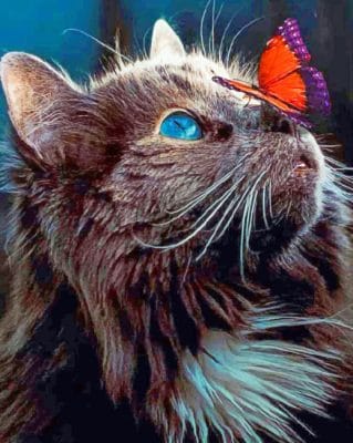 Red Butterfly On Cat Nose paint by numbers