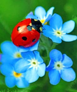 Red Ladybug On Flower paint by numbers