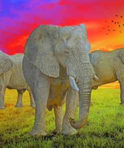 Safari Elephants paint by numbers