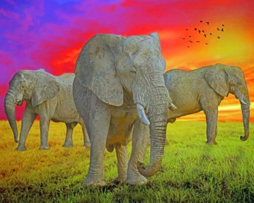 Safari Elephants paint by numbers