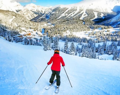 Snow Skiing paint by numbers