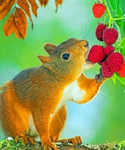 Squirrel Eating Berries paint by numbers