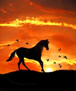 Sunset Horse Paint By Numbers