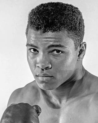 mohamed Ali paint by numbers