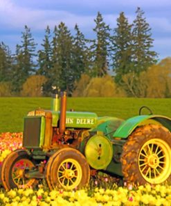 Tractor In Tulips Field paint by numbers