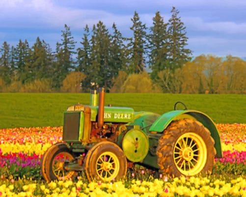 Tractor In Tulips Field paint by numbers