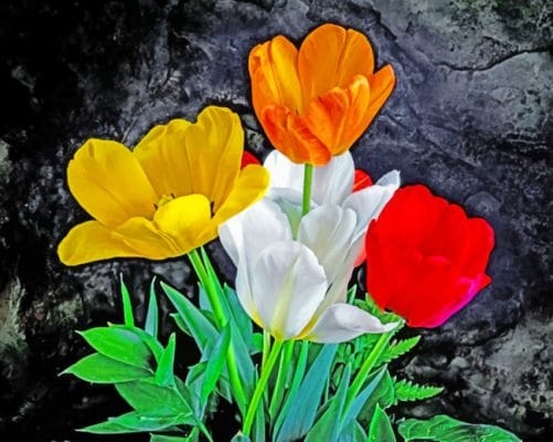 Tulips Bouquet Flowers paint by numbers