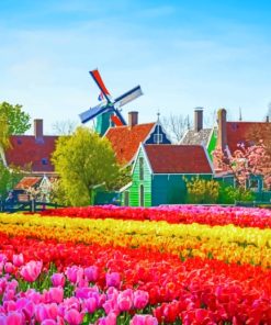 Tulips Field paint by numbers